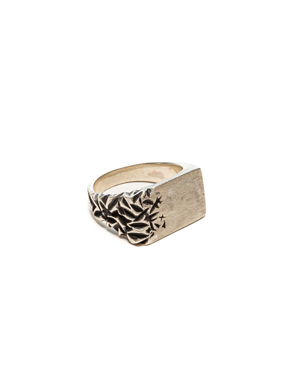 Silver Onyx Ring