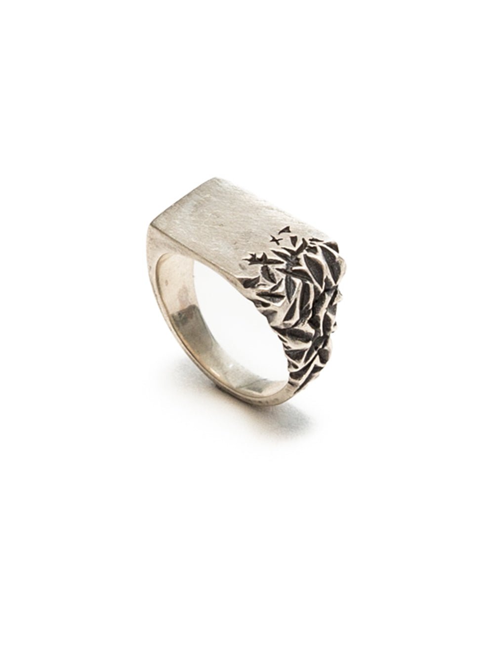 Silver Onyx Ring
